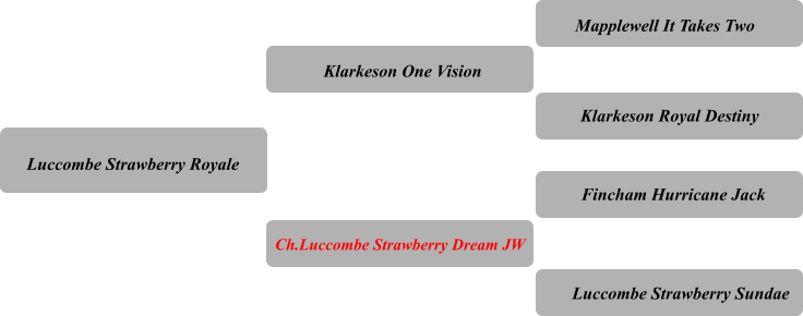 Luccombe Strawberry Royale Klarkeson One Vision Ch.Luccombe Strawberry Dream JW Mapplewell It Takes Two Klarkeson Royal Destiny Fincham Hurricane Jack Luccombe Strawberry Sundae