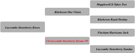 Luccombe Strawberry Kisses Klarkeson One Vision Ch.Luccombe Strawberry Dream JW Mapplewell It Takes Two Klarkeson Royal Destiny Fincham Hurricane Jack Luccombe Strawberry Sundae