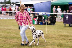 Wendy at Three Counties Champ show 2019
